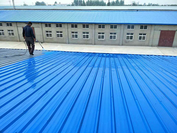 王下乡 彩钢瓦喷漆翻新工业厂房、仓库